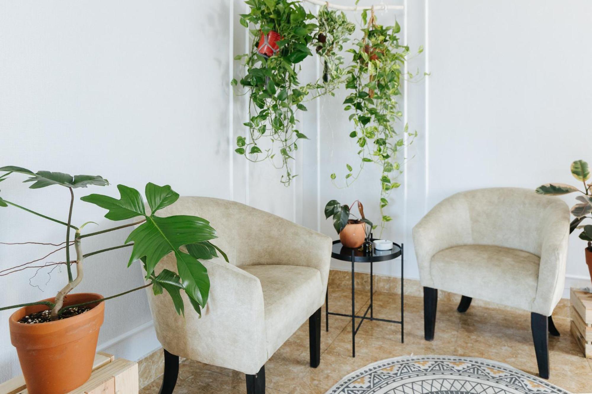 Ivy Hotel & Apartment - Stay 24H Hanoi Zewnętrze zdjęcie